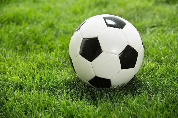 数据研究者使用场景